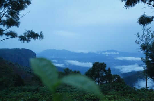 Residential Plot / Land for Sale 2400 Sq. Feet at 