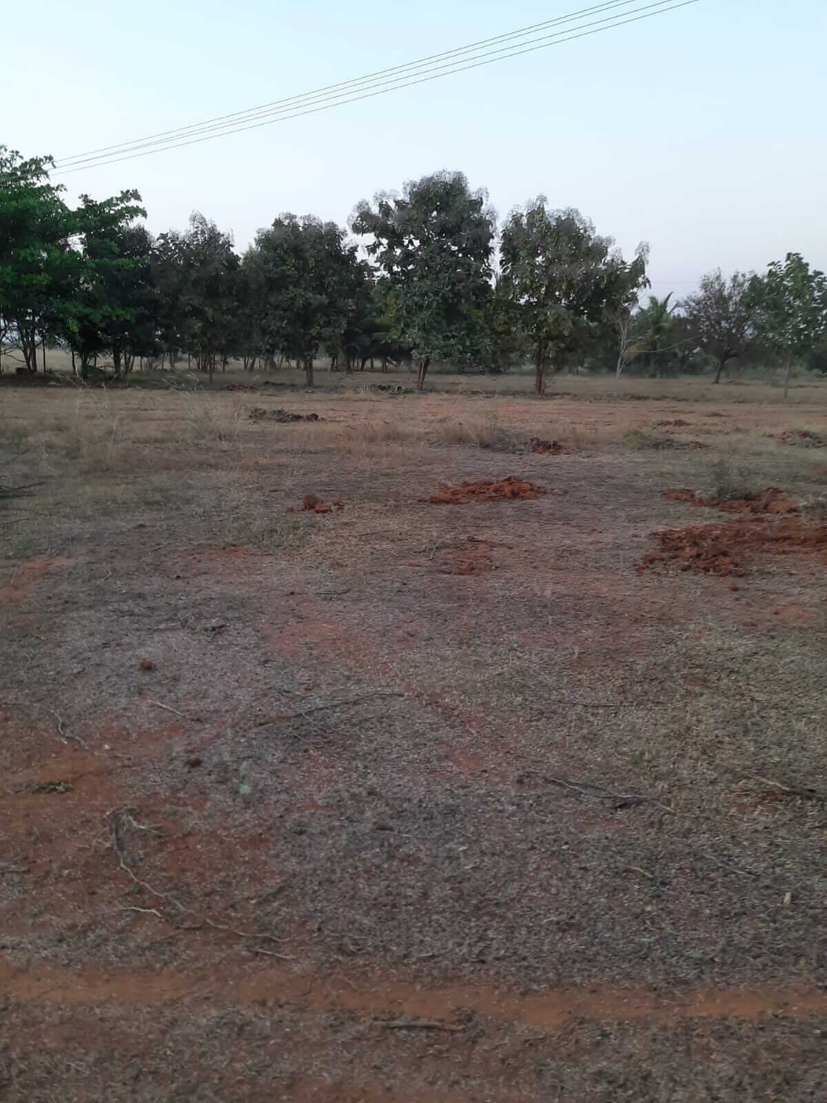 Industrial Plot / Land for Sale 10.07 Acres at Thanjavur
