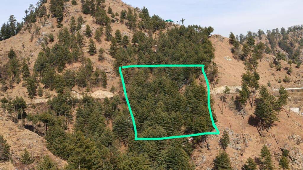 Agricultural Plot / Land for Sale 85 Biswa at Shimla
