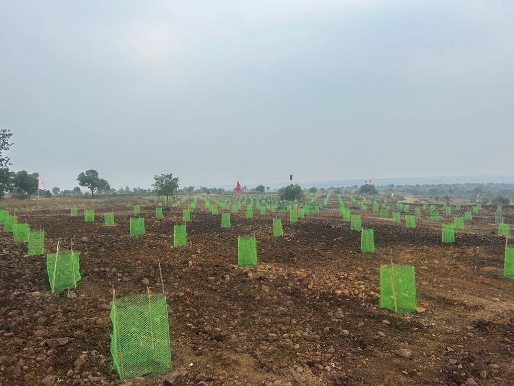 Agricultural Plot / Land for Sale 605 Sq. Yards at Hyderabad
, Narayankhed