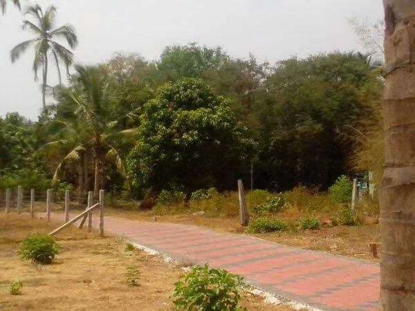 Residential Plots for sale at Kottayi, palakkad, kerala