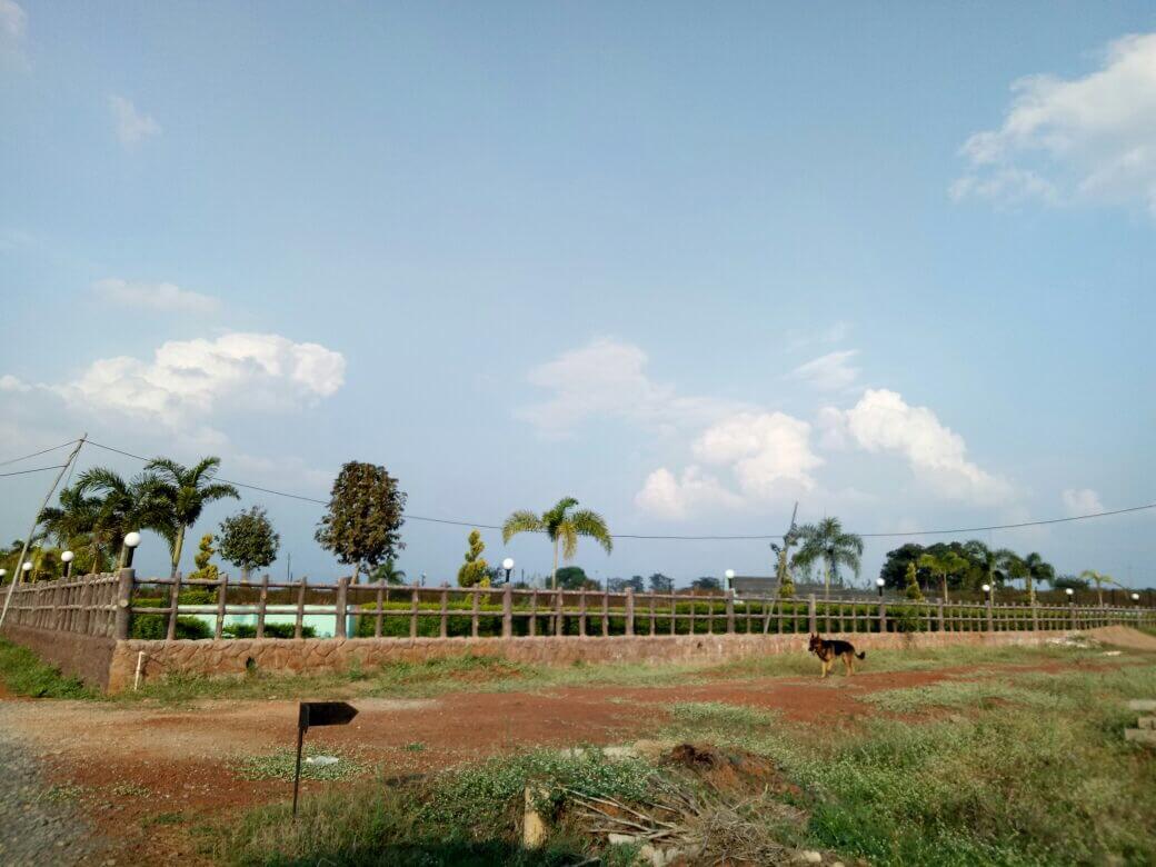 Residential plot for sale at Raipur in prime location layout pass approved