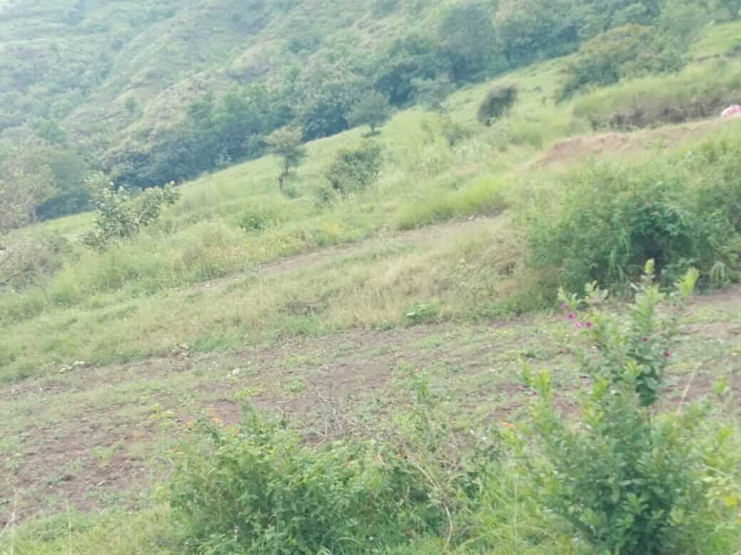 Agricultural Plot / Land for Sale 9 Acres at Pune, Pune