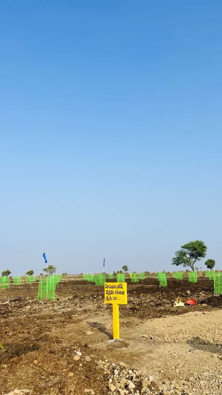 Agricultural Plot / Land for Sale 605 Sq. Yards at Hyderabad, Narayankhed