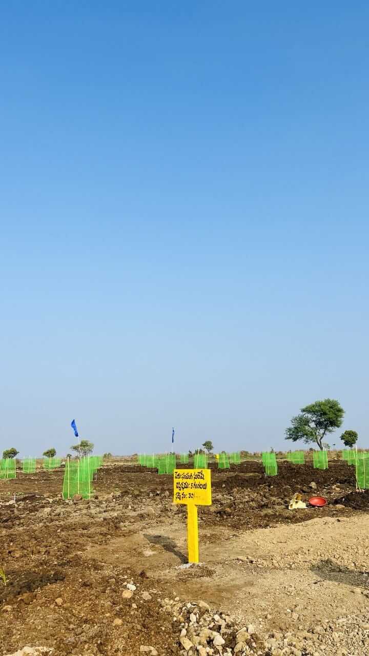 Agricultural Plot / Land for Sale 605 Sq. Yards at Hyderabad
, Narayankhed