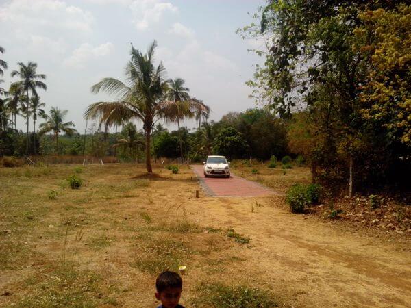 Residential Plots for sale at Kottayi, palakkad, kerala